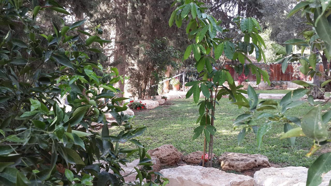 Lisa'S Farm Place Ришон ле Цион Екстериор снимка